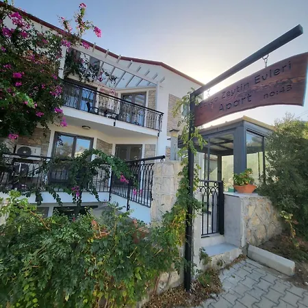 아파트 Zeytinevleri